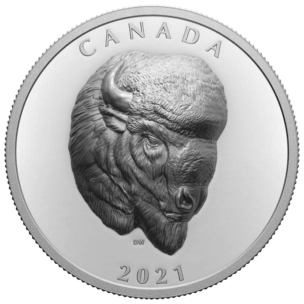 2021 1オンス カナダ・ボールド・バイソン.9999銀貨プルーフ 極めて高いレリーフ硬貨