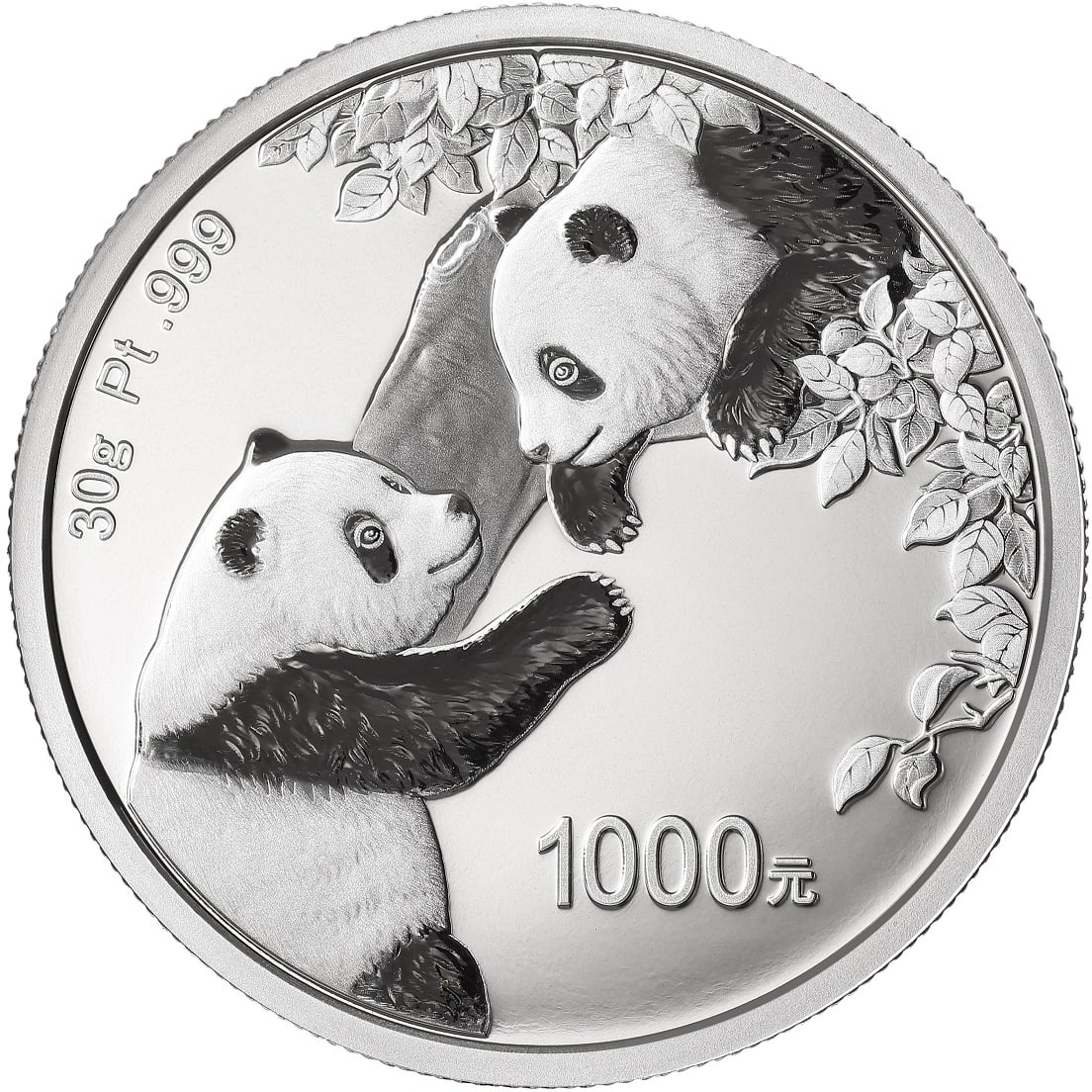 2023 30g チャイナ・パンダ 999 プラチナ プルーフ貨幣