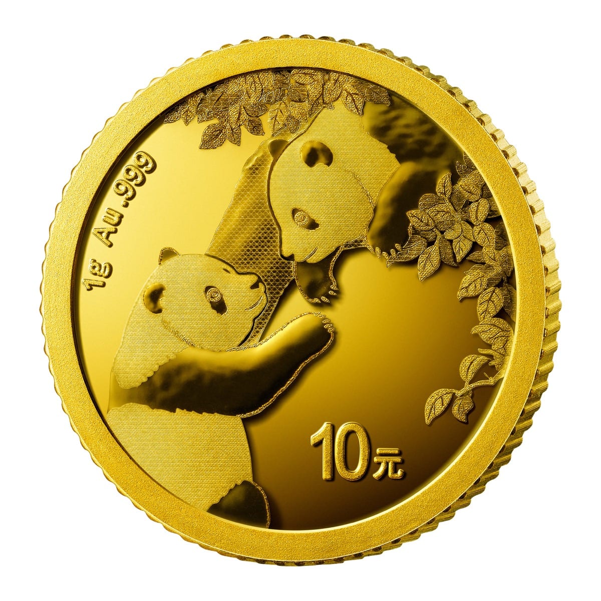 2023年 中国パンダ.999金貨 1グラム