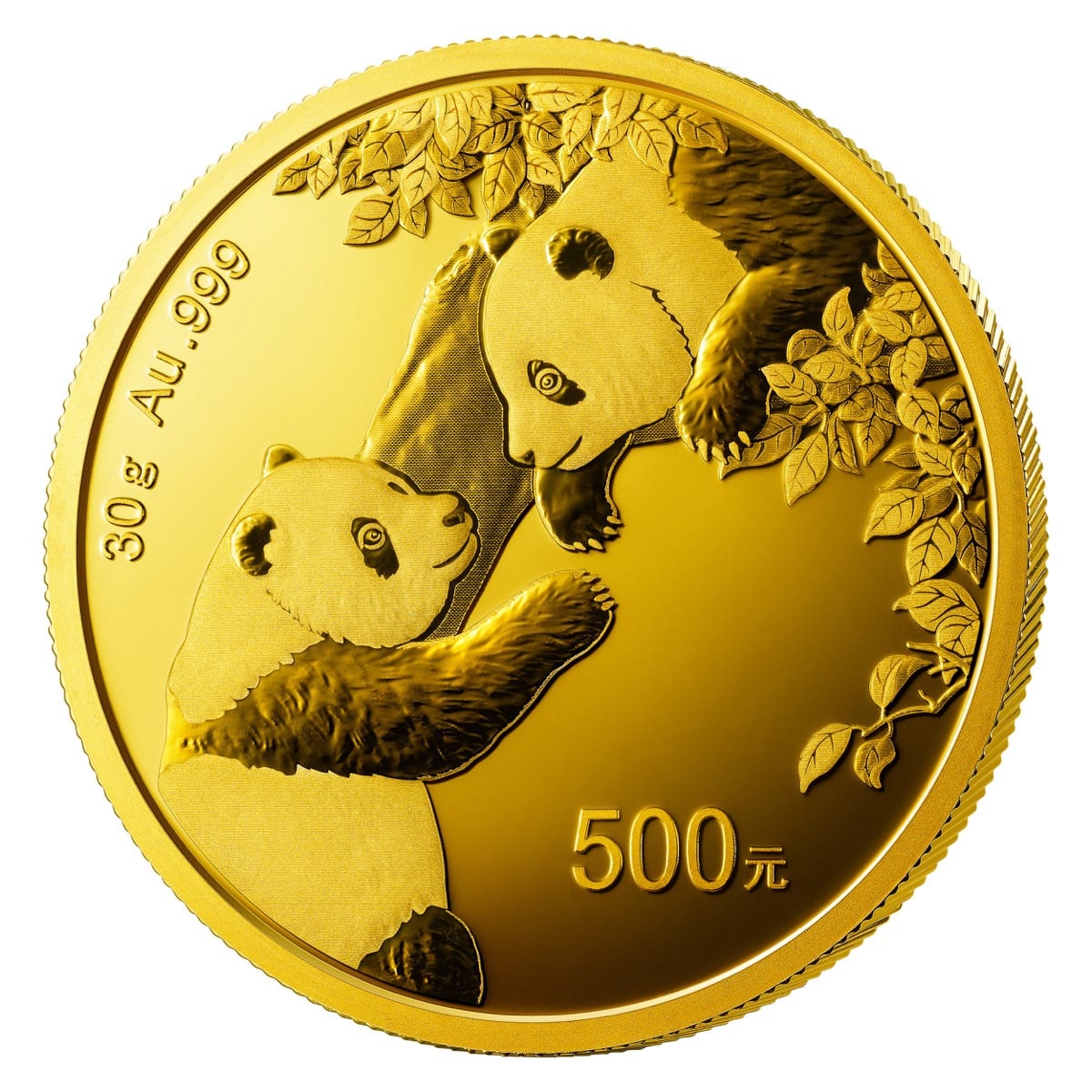 2023年 30グラム 中国パンダ.999金貨